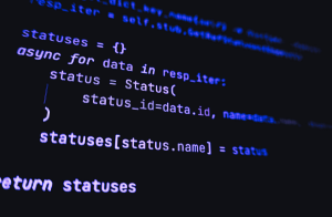 Full Stack Web developer